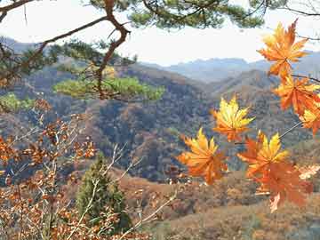 魅影直播盘点：花絮7个你从没注意的细节，圈内人上榜理由极其令人爆红网络